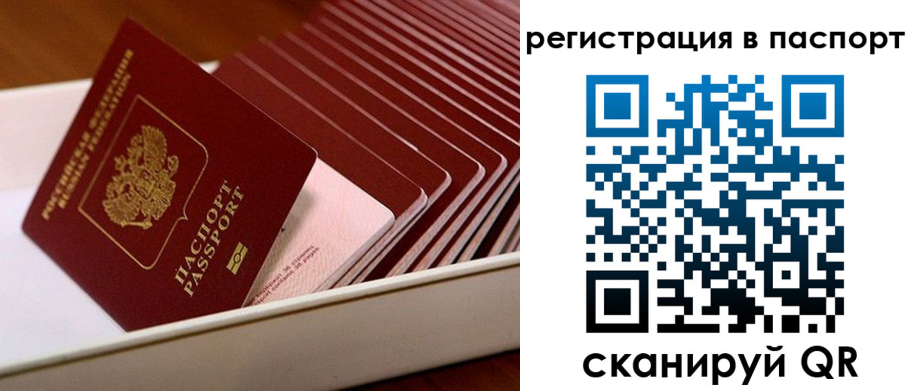 форма 3 в Рассказово