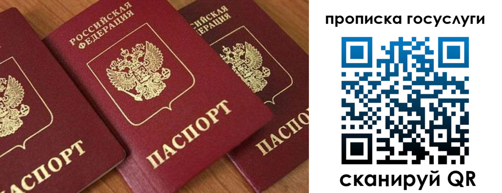 временная прописка в Рассказово